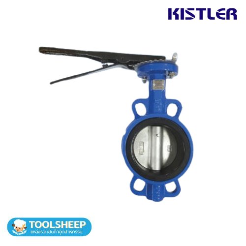 KISTLER รุ่น BFV100L (SS316)