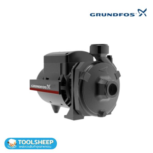 GRUNDFOS NS